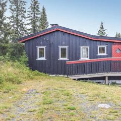 Stunning Home In Sjusjøen With Kitchen