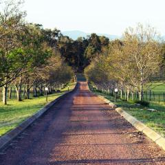 Blueberry Hill Vineyard Stay