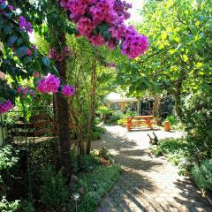 Villa Regina island Cres, 70m from the sea