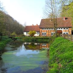 Ferienhaus Höllenmühle