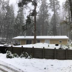 Sequoia National Forest CabinM