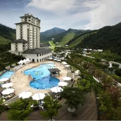 엘리시안 강촌 리조트