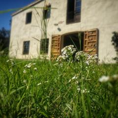 Masia Mediterranian Country House Ca l'Isidre Torrent