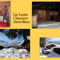 Chalet Les Lupins