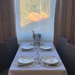 ComfortApartment IGLIKA 2