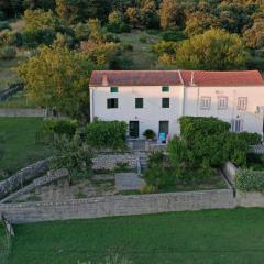 Vacation House Viskic