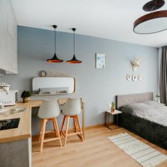Tedy's Apartments in New Gudauri