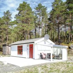 Gorgeous Home In Dirdal With Wifi