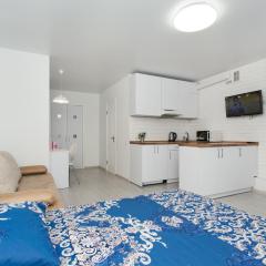 Апартаменты возле ТЦ Лавина 1 этаж