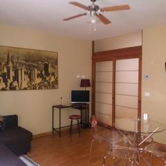 Sweet Saragozza apartment