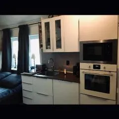 Villa Lillgården with Sauna and Jacuzzi