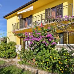 Apartments Danijel 1956