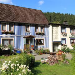 Haus Grüne Insel - Ferienwohnungen