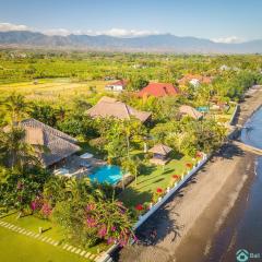 Villa Agus Mas - Serene & calm beachfront villa!