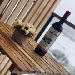 Bakuriani Plaza A317