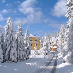 Kraftplatz Katschberg - Martina Aigner