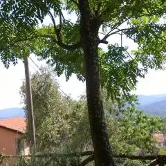 Ca' Rosmunda