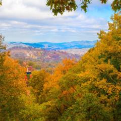 Serenity Heights, Amazing Views, Hot Tub Pool Access, 560 FREE tickets each paid day