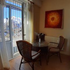 Apartment N 5