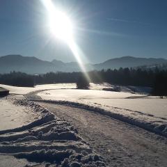 Ammergauer Vier Jahreszeiten