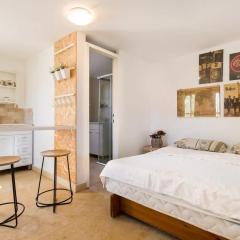 Designed Studio Apartment