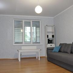 Large 2-bedroom apartament in the center