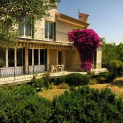 Maison lumineuse et spacieuse avec jardin arboré