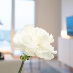 Vasko luxurious suites, Davvi