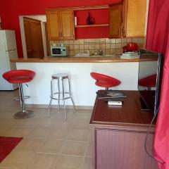 One bedroom appartement with furnished garden and wifi at La Savane 2 km away from the beach
