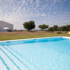 5 bedrooms villa with private pool furnished garden and wifi at Evora