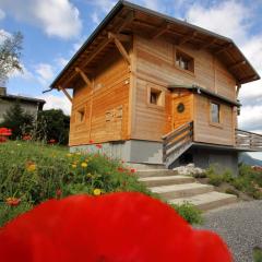 Chalet 10 Pers aux Carroz (CH719)