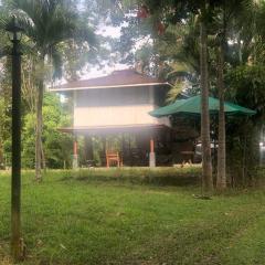 A charming treehouse-with airport pick up