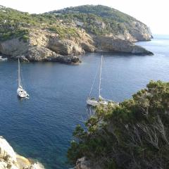 Catamarán y Velero I Centro de Ibiza