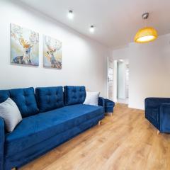 Apartamenty Lisowski CENTRUM Goszczyńskiego