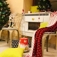 Orchidea Central Apartment