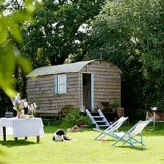 Mollies Hut