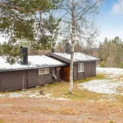 Cozy Home In Rauland With Wifi