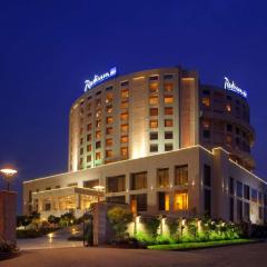 ラディソン ブルー ホテル ニューデリー ドワルカ（Radisson Blu Hotel New Delhi Dwarka）