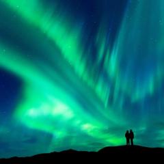 Yellow Dog Lodge, Inc.