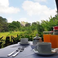 Sigiriya Palace View