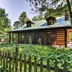 Black Mountain Cabin with Screened Porch and Views!