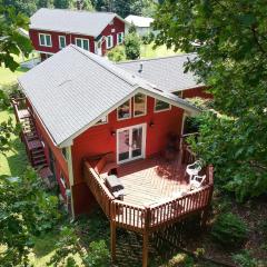 Cantrell Cottage Cozy Getaway with Smoky Mtn Views