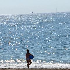 MARBELLA - ALICATE BEACHFRONT Apartment-9