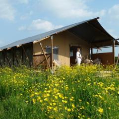 Tall Trees Glamping