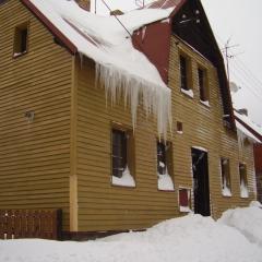 Holiday Home in Bohemia near Ski Area and Vast Forests