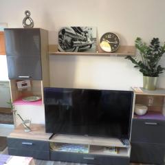 Budget Friendly Private Apartment