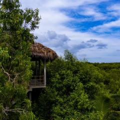 Mermaid Cabana and Tree Houses