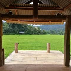 Chinopuu Hut Homestay Muangkong ชิโนปู ฮัท โฮมสเตย์ เมืองคอง เชียงดาว