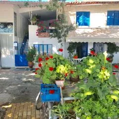 CASA LELA 3...HYDRA