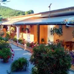 Marika Garden Studios